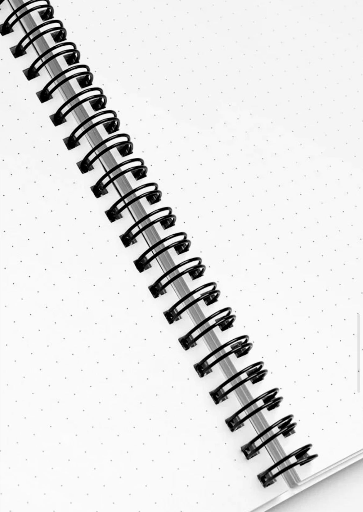 'Honeysuckle' Spiral Dot-Grid Notebook